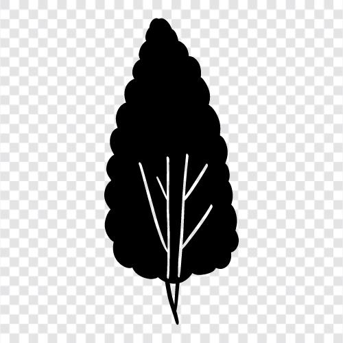 a living organism, Tree icon svg