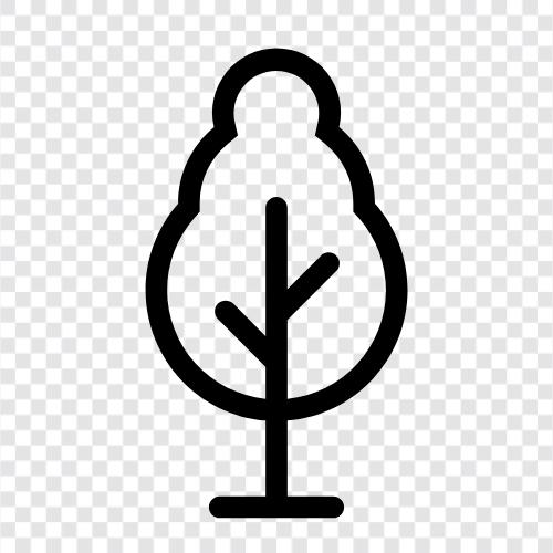 ein mehrjähriger holziger Strauch oder kleiner Baum, ist eine natürliche Quelle von, Baum symbol