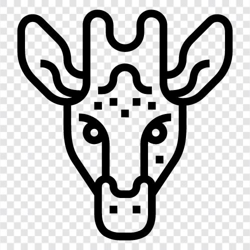 African, Animal, Mammal, Animal Planet icon svg