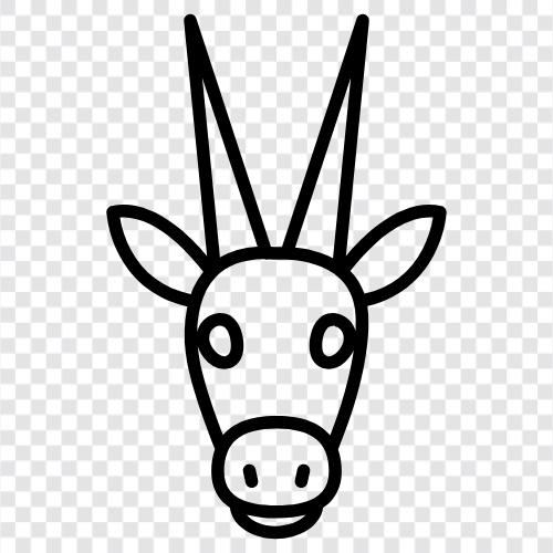 African antelope, animal, animal kingdom, antelope icon svg