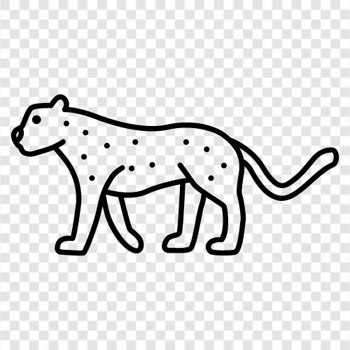 African big cat, endangered species, big cat, hunting icon svg