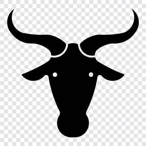 African, Wildlife, Bison, African Safari icon svg