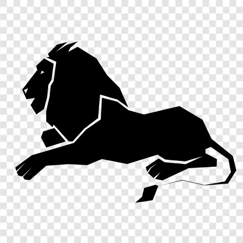 African lion, big cat, cougar, king of the jungle icon svg