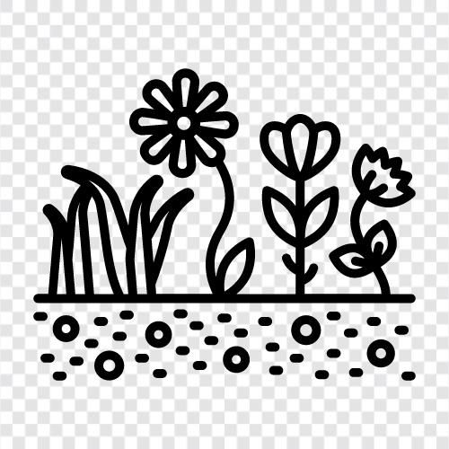 agricultural, cotton, farm, harvesting icon svg