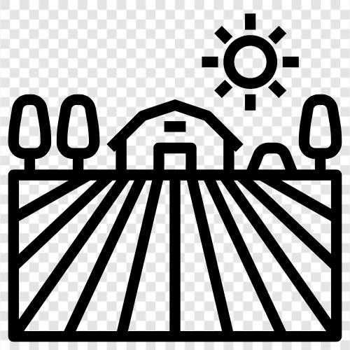 agriculture, farming, land, crops icon svg