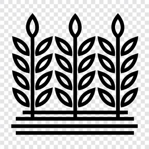 agroforestry, sustainable agriculture, organic farming, sustainable farming icon svg