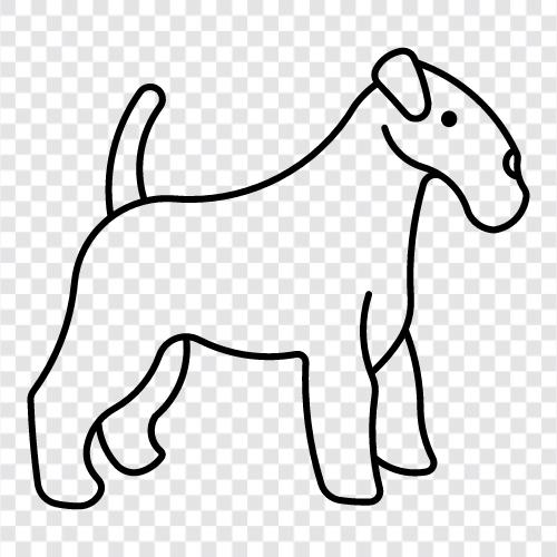 Airedale Terrier, köpek, hayvan, evcil hayvan ikon svg