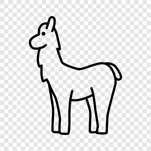 alpaca, fiber, fiber industry, textile industry icon svg