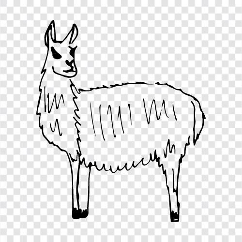 alpaca, fiber, meat, Peru icon svg