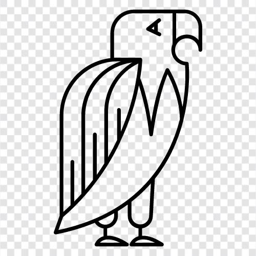 Amerika, Freiheit, Patriotismus, Adler symbol