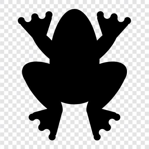 amphibian, aquatic, croaking, eating icon svg