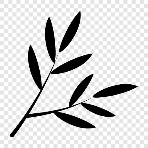 an herb, is a member of the mint family. It is considered a, Tarragon icon svg