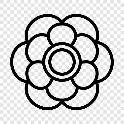 Anemone, Korallen, Seeanemone, Steinkorallen symbol