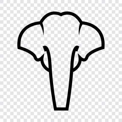 animal, big, huge, trunk icon svg