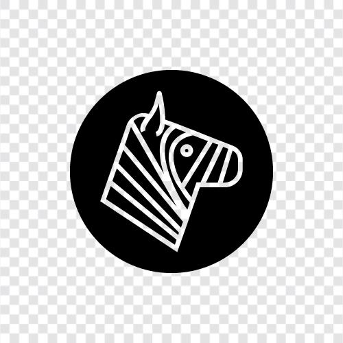 animal, striped, black and white, African icon svg