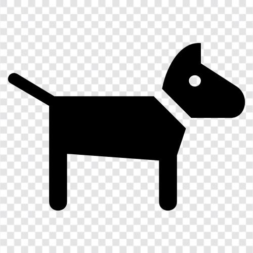 animal, pet, house, breed icon svg