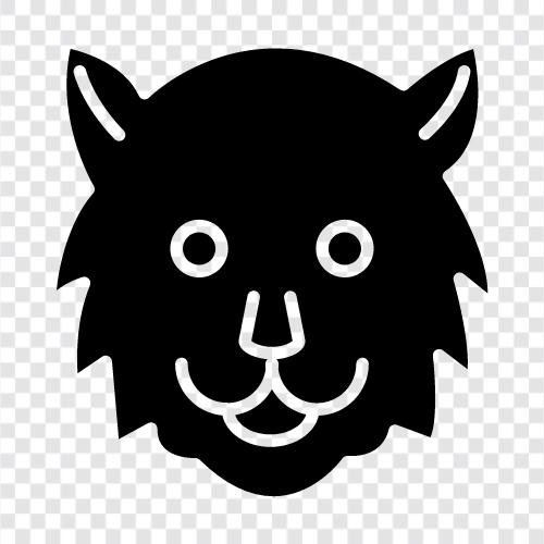 animal, big cat, feline, wild icon svg