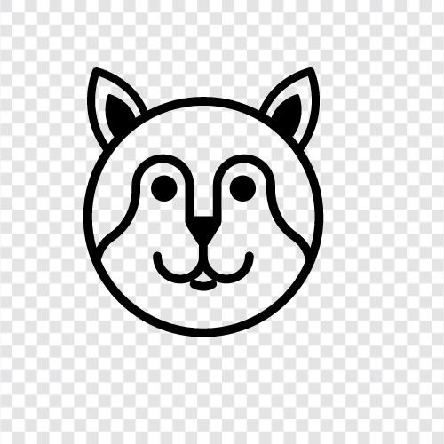 animal, canine, wild, pack icon svg