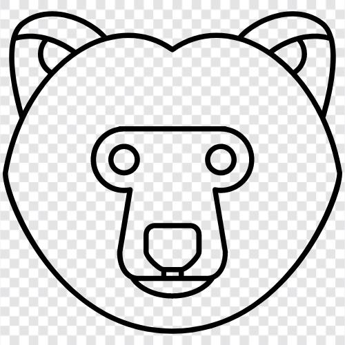 animal, brown, cub, bear icon svg