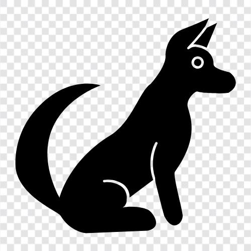 animal, pet, house, breed icon svg