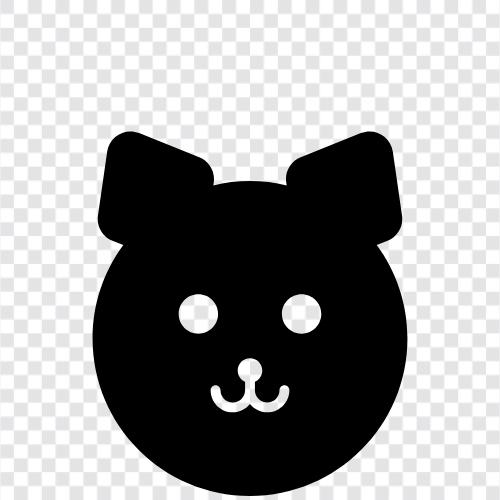 animal, pet, furry, rat icon svg