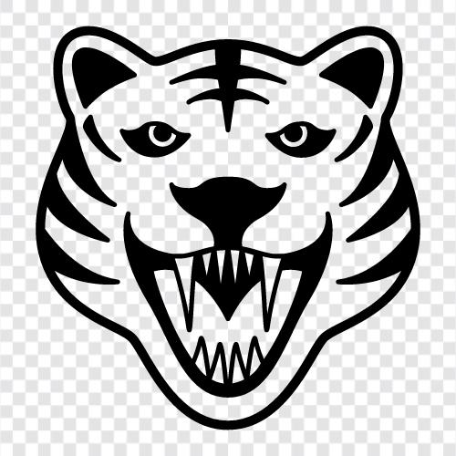 Animal, Animal Planet, Animal World, Big Cats icon svg