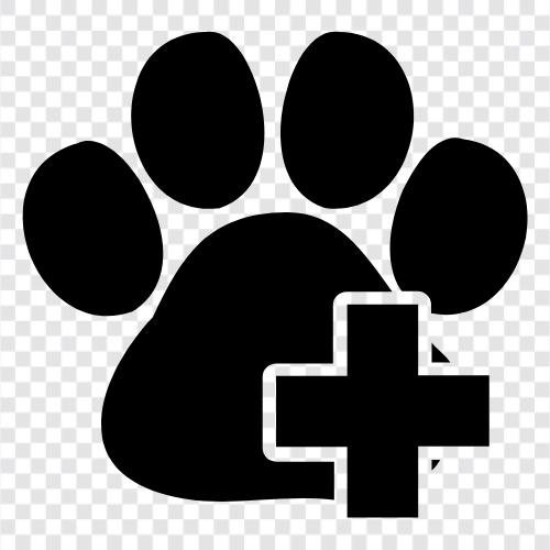 Tierernährung, Veterinärmedizin, Tiergesundheitsversicherung, Tierschutz symbol