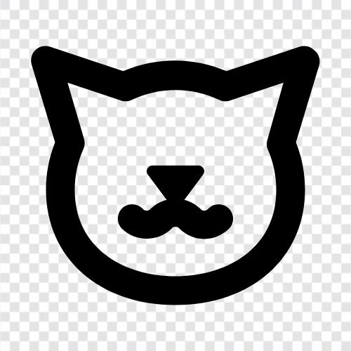 Tier, Katzen, Haustier, Hauskatze symbol