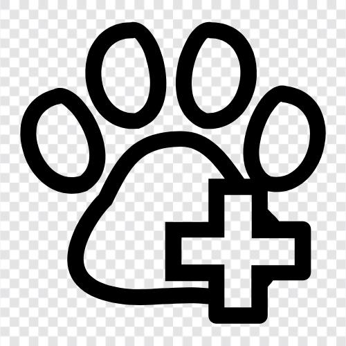animal health care, animal health information, animal health services, animal health icon svg