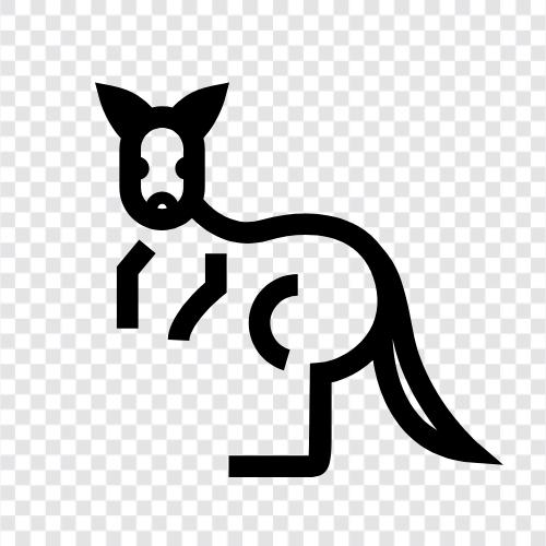 Tiere, Marsupial, Joey, Säugetier symbol