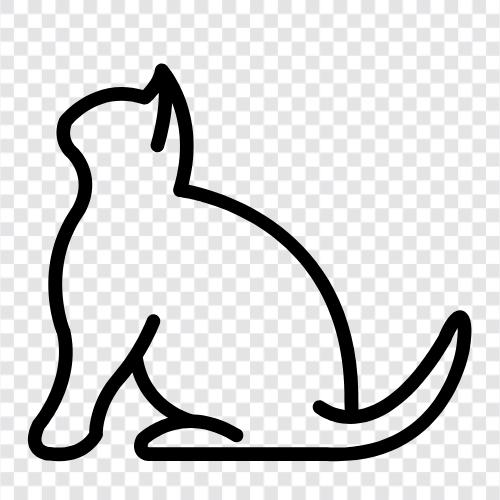 Tier, Katzen, Haus, Haustier symbol