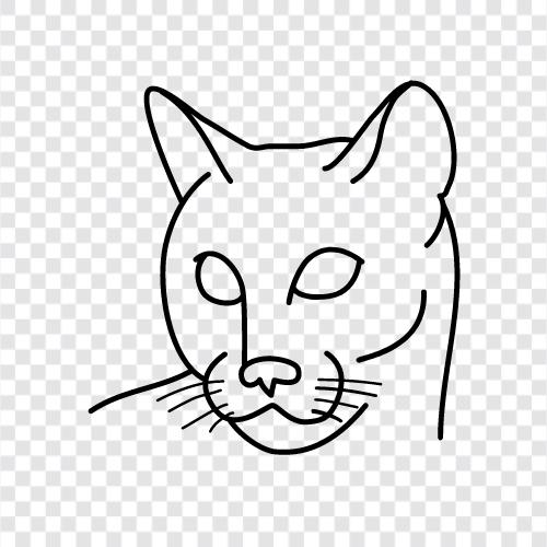 animal, creature, feline, house pet icon svg