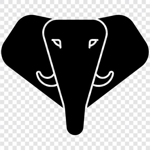 animal, animal conservation, animal rights, endangered species icon svg