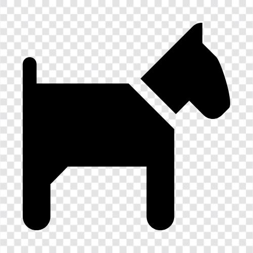 animal, pet, furry, house icon svg