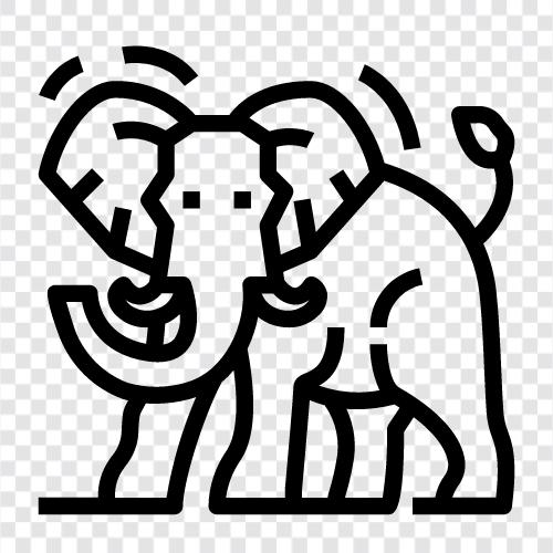 animal, majestic, huge, trunk icon svg