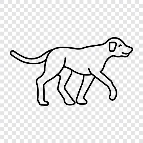 animal, pet, dog food, puppies icon svg