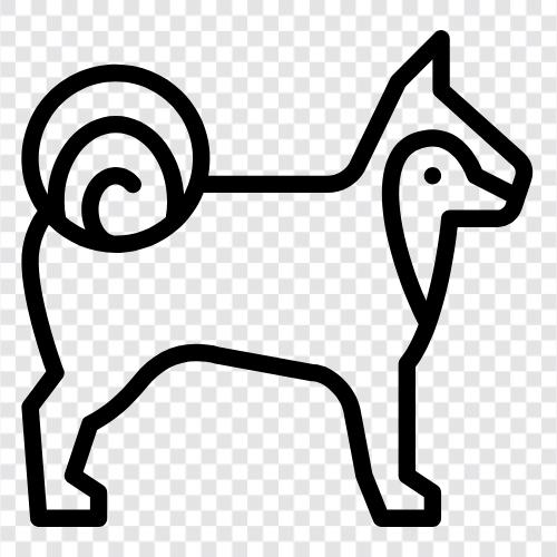 Tier, Tierrassen, Hunderassen, Hundetraining symbol