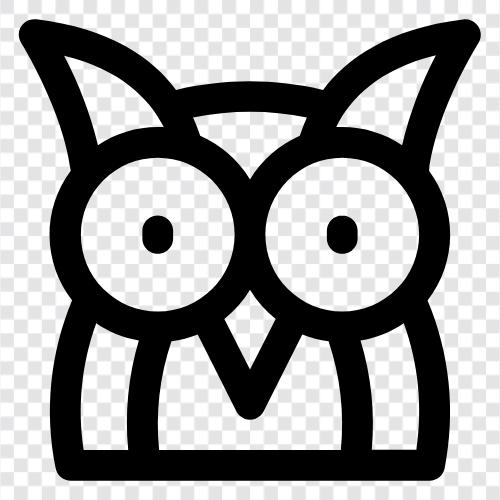 Animal, Bird, Size, Weight icon svg