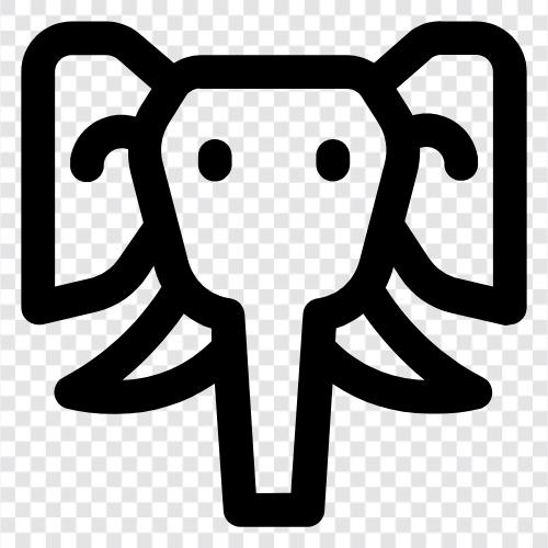 animal, conservation, endangered, population icon svg