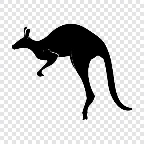 Tier, Tierverhalten, Tierschutz, Australisch symbol