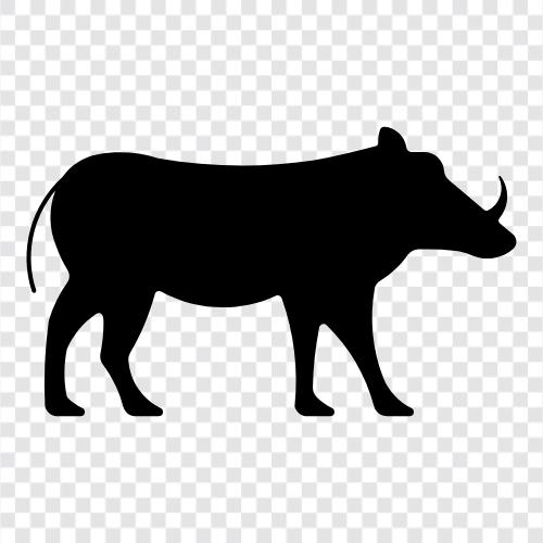 animal, pig, grunting, snorting icon svg