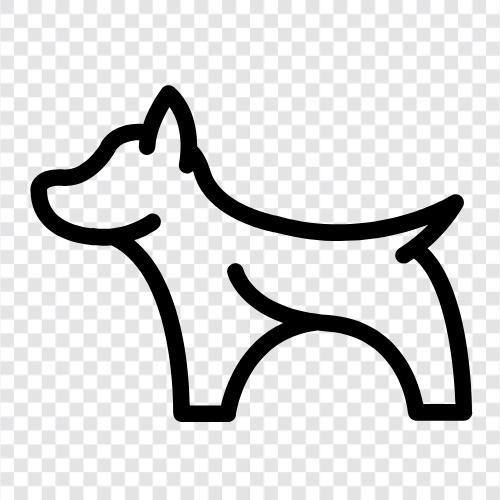 animal, pet, furry, tail icon svg