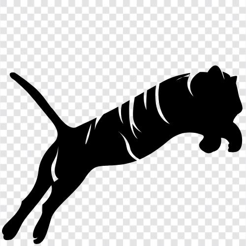 animal, big cat, national animal, endangered icon svg