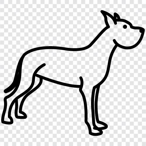 animal, pet, breed, funny icon svg