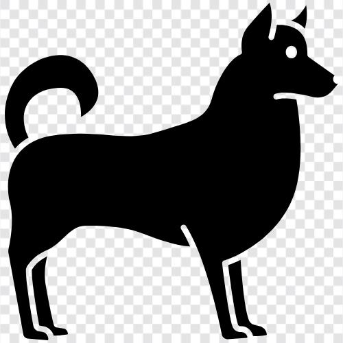 animal, pet, house, breed icon svg