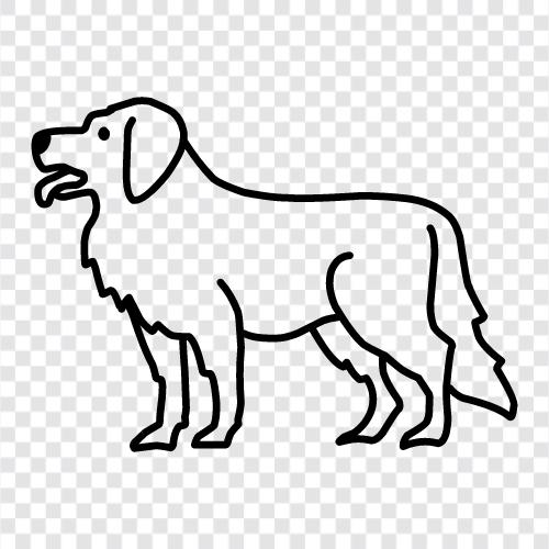 animal, pet, house, breed icon svg