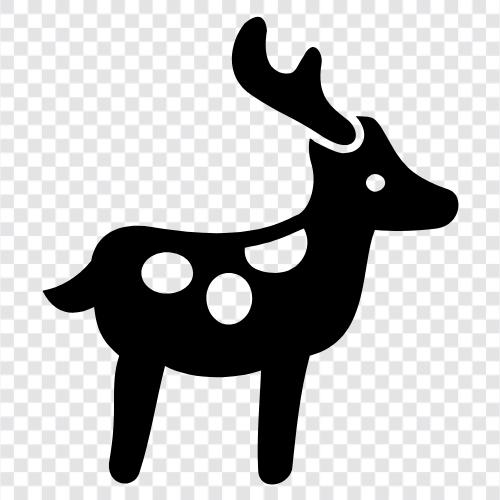 animal rights, animal welfare, animal behavior, animal intelligence icon svg