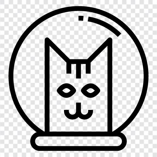 animal, feline, felines, house cat icon svg