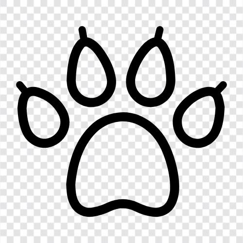 animal tracks, animal prints, animal identification, animal tracking icon svg