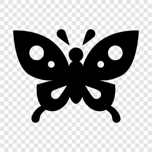 animals, beautiful, butterfly gardens, butterfly houses icon svg